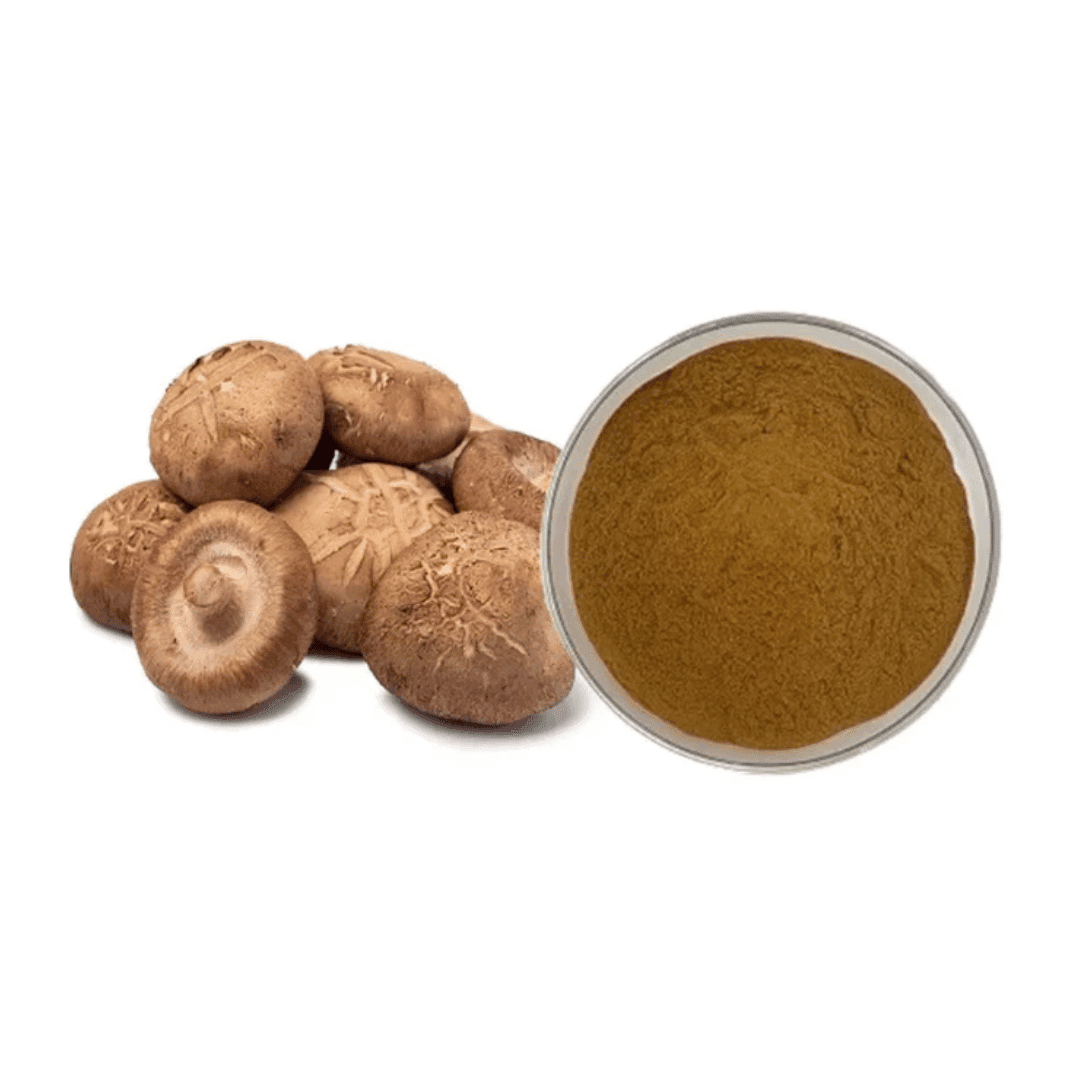 Beta Glucan Shiitake Mushroom