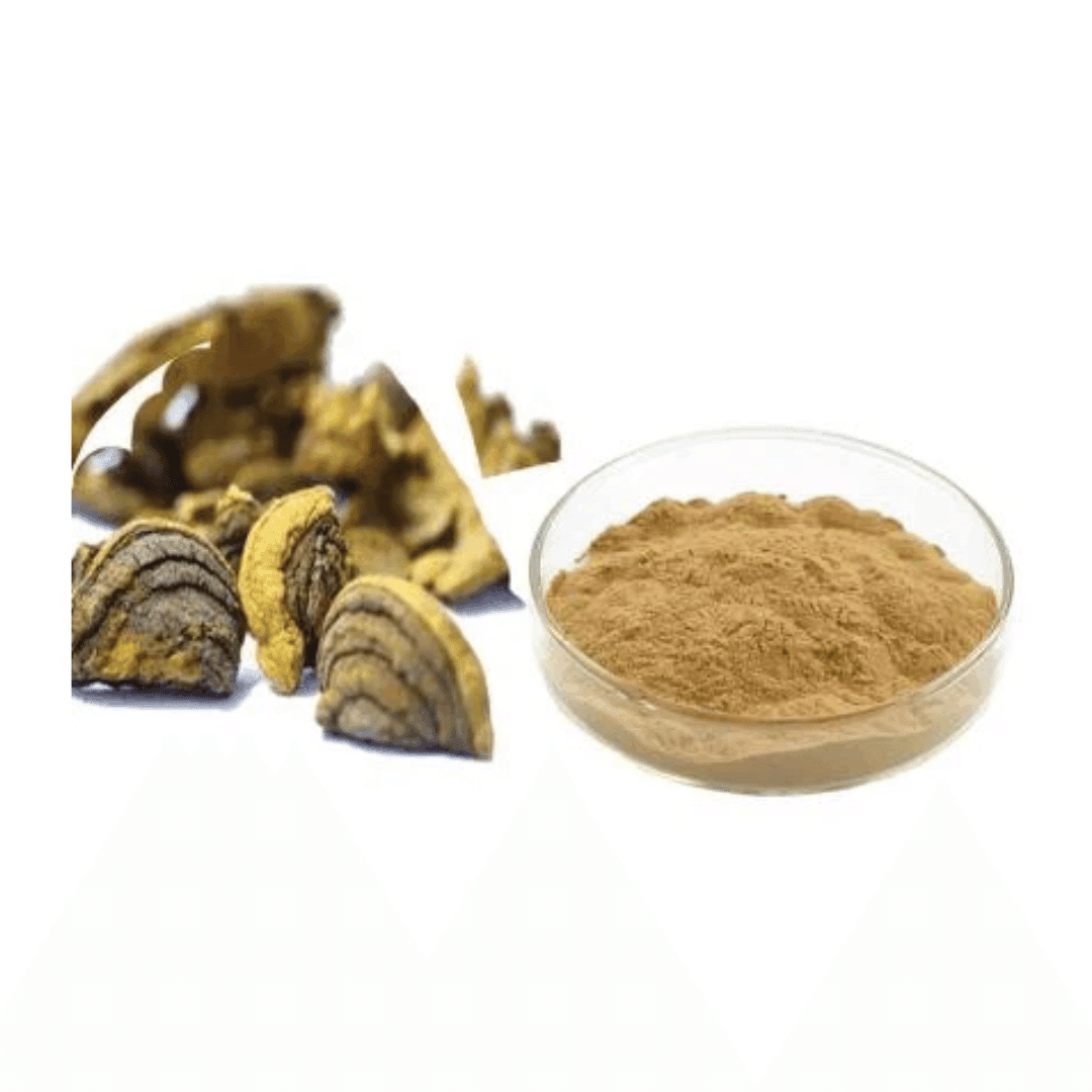 Phellinus Linteus Extract