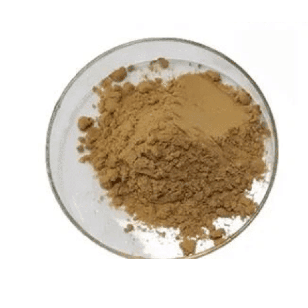 Potentilla Erecta Root Extract