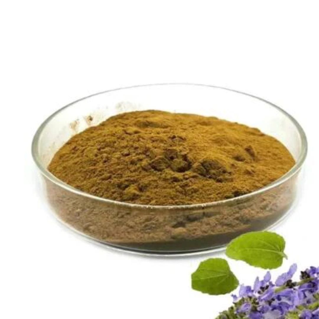 Coleus Forskohlii Powder