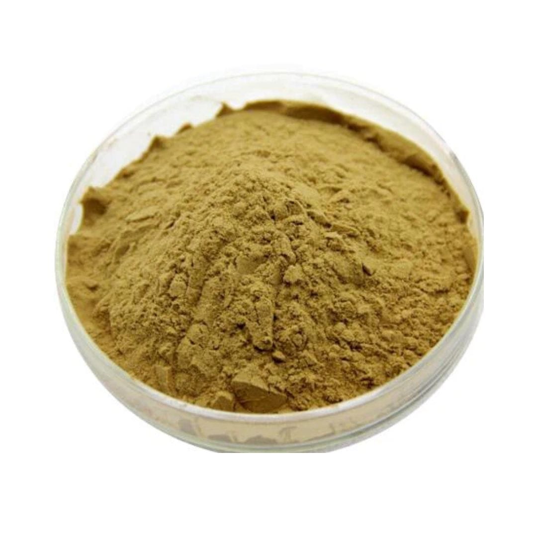Coleus Forskohlii Rhizome Extract