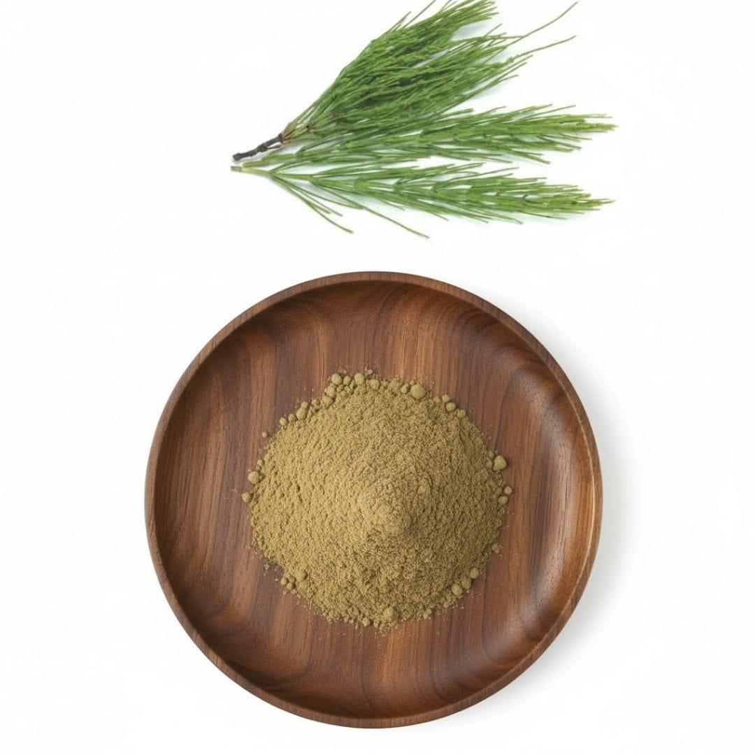 Horsetail Botanical Extract