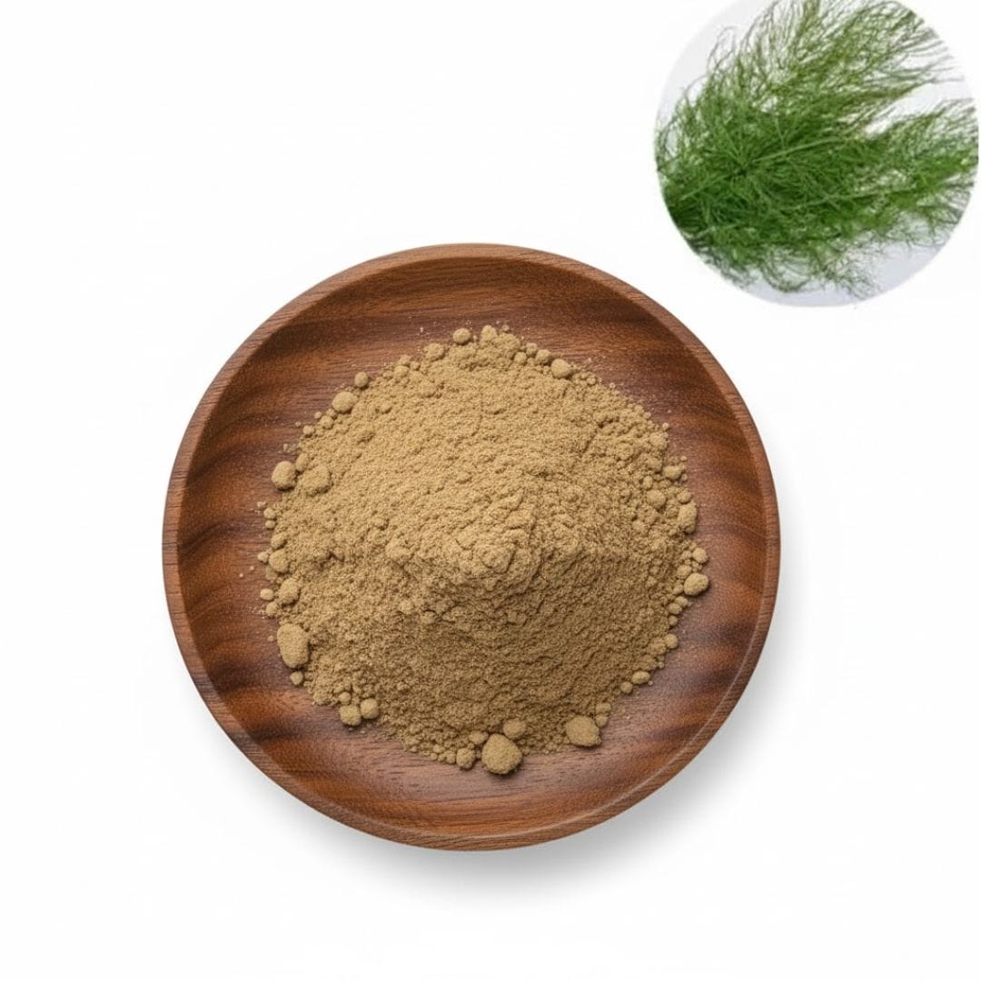 Horsetail Grass Extract