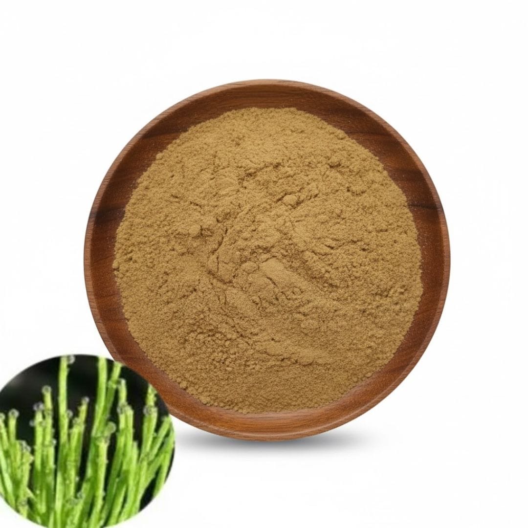 Horsetail Leaf Extract