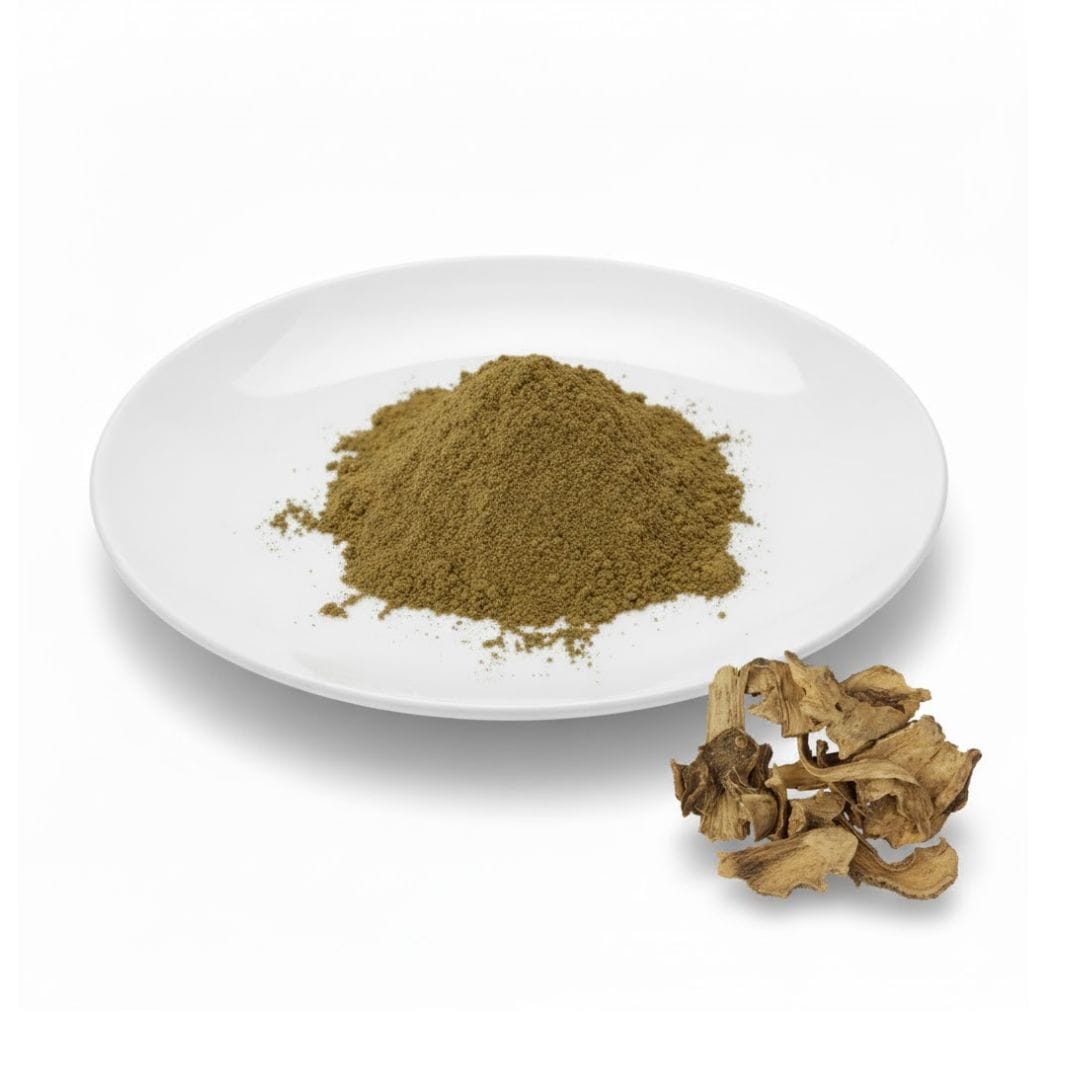 Elecampane Extract