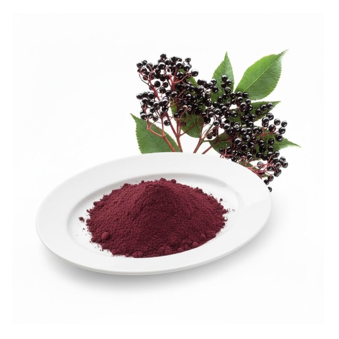 Anthocyanins Elderberry