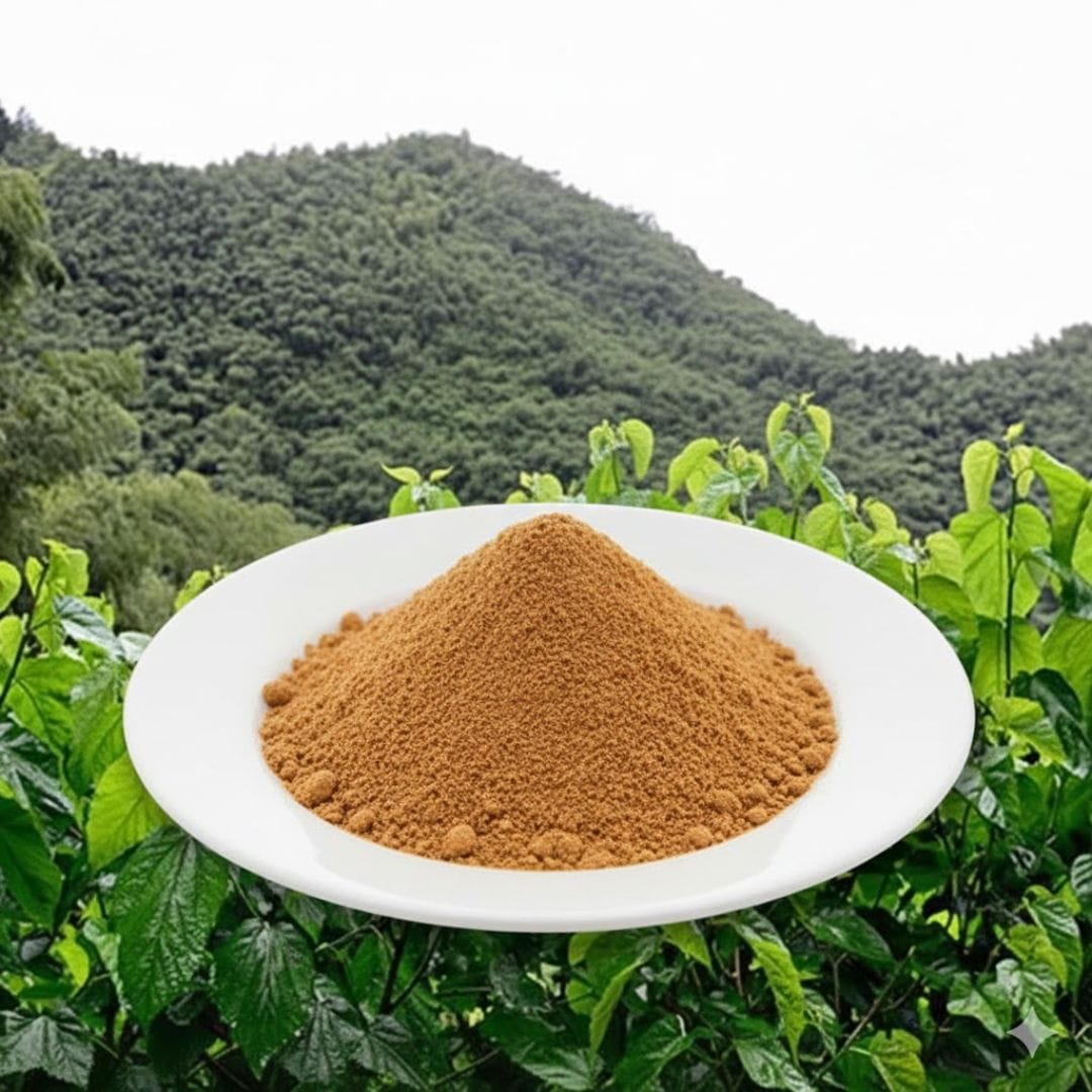 DNJ Mulberry Leaf Extract