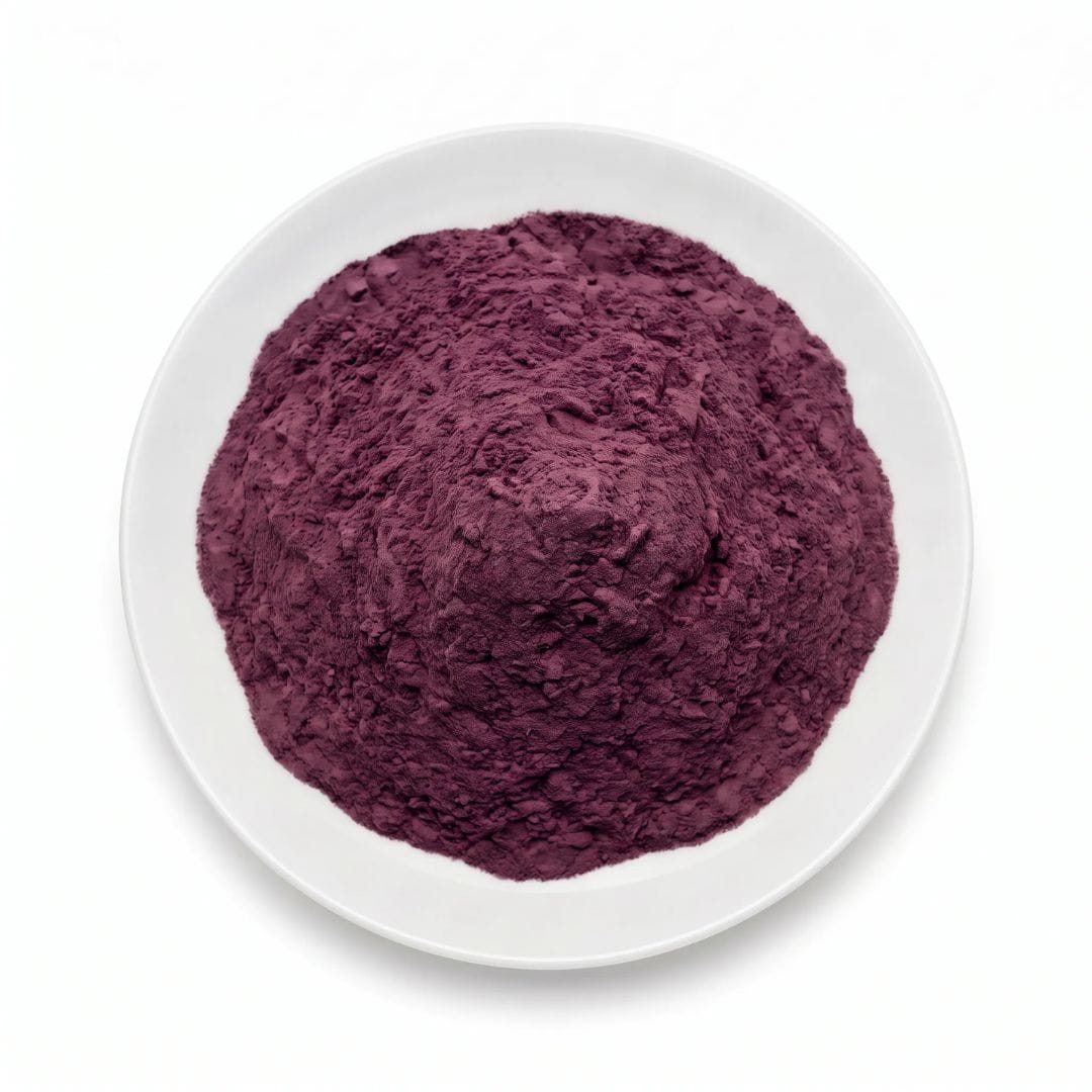 Elderberry Powder